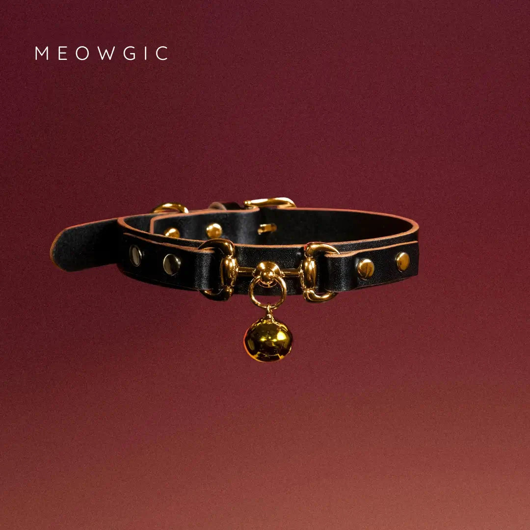 Midnight Puppy Choker With Bell and Chain - Genuine Leather - Calfskin White - Meogicbase